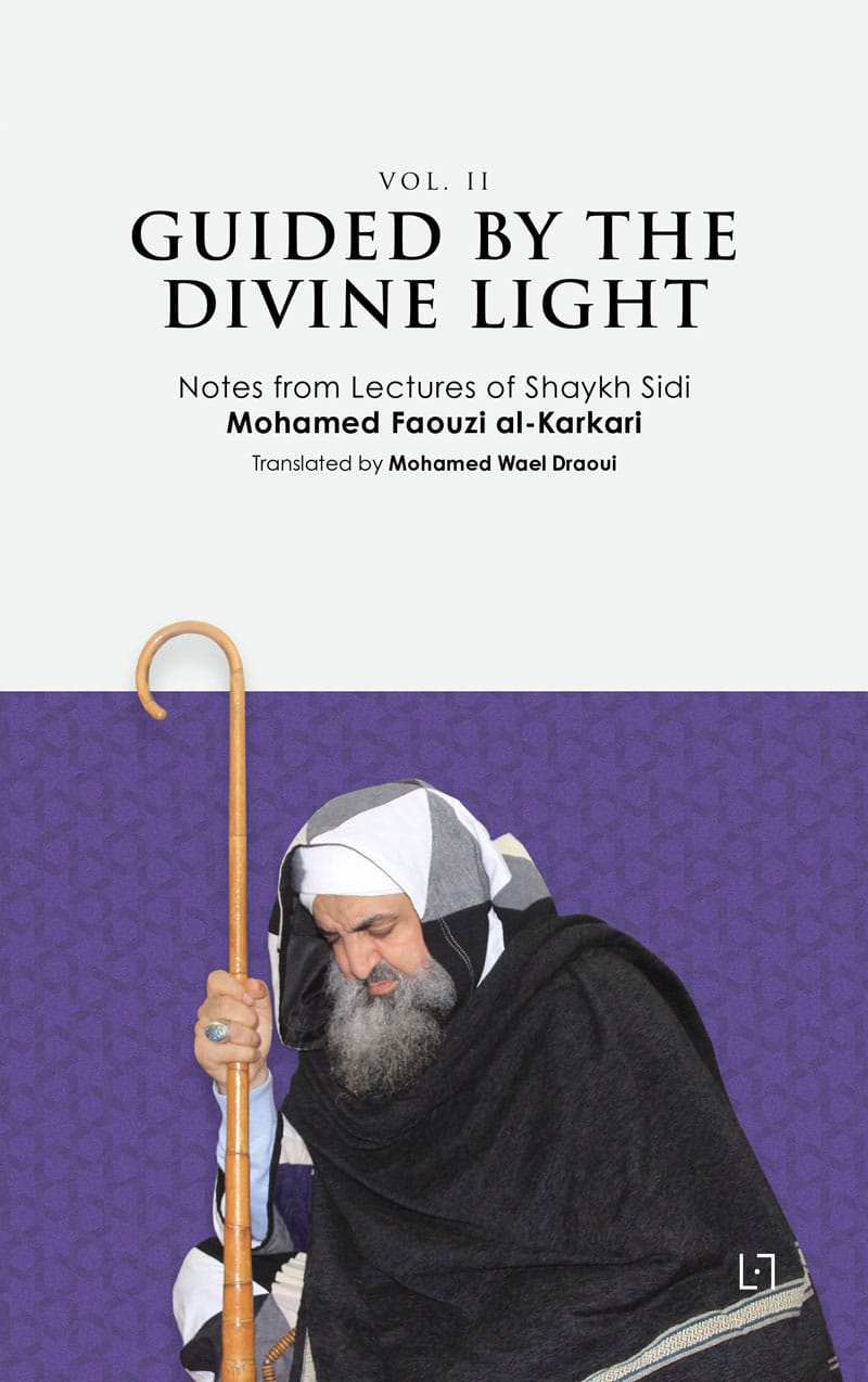 Guided By The Divine Light (Vol. I)